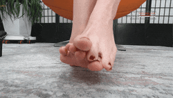 ����2.gif