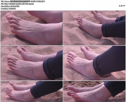 ���������Ľ�ֺ������д GQSP-H135