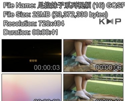 �������ϵ����Ƶ (16)