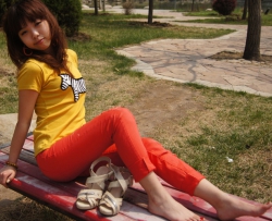 �ɰ���Сģ��Ф���������׷�(51p) CZZJY-N080