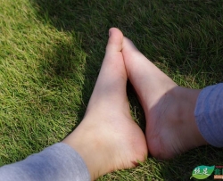 ���չ�԰��һ���������̣���ֺ������ƪ��30P��