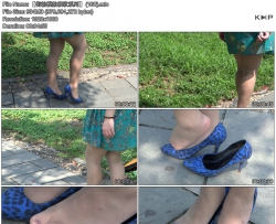 ������ģ�ļ���ϵ�С� (160)