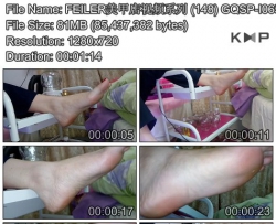 FEILER���׵���Ƶϵ�� (148) GQSP-I065