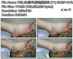 FEILER���׵���Ƶϵ�� (71) GQSP-I178