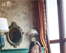 ˿Ľд��  SM294 ʫ�硶�����ϡ�[79P166M �ٶ�����]