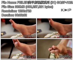 FEILER���׵���Ƶϵ�� (21) GQSP-I123