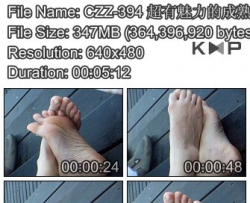 CZZ-394 ���������ĳ�������  GQSP-E073