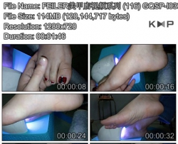 FEILER���׵���Ƶϵ�� (116) GQSP-I030