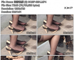 ������Ƶ (2) GQSP-I254