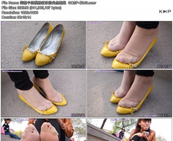 �����е�ģ���ƾɵ���˿����  GQSP-E249