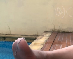 12�µ�΢����1V 8.12G��