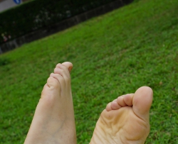 ��Paryѧ��ģ�ġ�С�����ţ�61p��