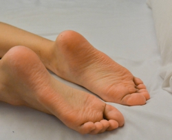 ��̨��Solexight��De Pic �ڶ��� 90P  CZZJY-Z635