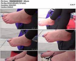 ������ģ�ļ���ϵ�С� (59)