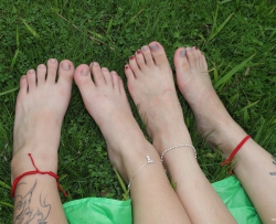 ��Paryѧ��ģ�ġ�С����СƼչʾ�������ţ�83p��
