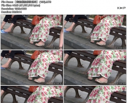 ������ģ�ļ���ϵ�С� (136)