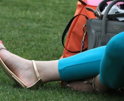 �𼦺���,�����´�: �ݵ��̿�ѩ������ 16P
