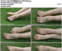 CZZ-408 ������Ƶ-С��  GQSP-E086