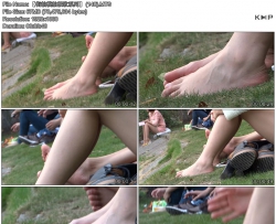 ������ģ�ļ���ϵ�С� (148)