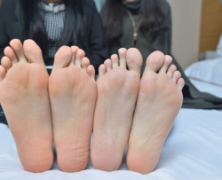 ��ecolog��Ʒ��˫��ϣ�����ţ�71P��