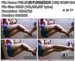 FEILER���׵���Ƶϵ�� (133) GQSP-I049