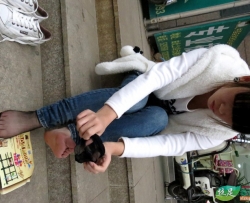 QJԭ��_ѧԺϵ�� (6) 76P