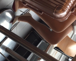 ��͵�˿����Ů��Ь1080P[2:35]