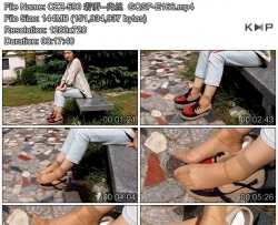 CZZ-590 ���--��˿  GQSP-E166