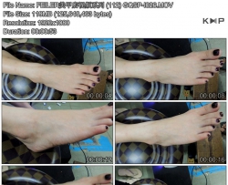 FEILER���׵���Ƶϵ�� (112) GQSP-I026