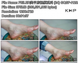 FEILER���׵���Ƶϵ�� (24) GQSP-I126