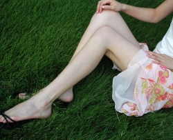 �����ľ���  ��˹è��������[42P]