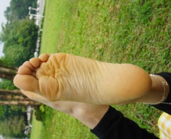 ��Paryѧ��ģ�ġ��е㺦�ߵĴ�ѧ��ʫʫ��81p��