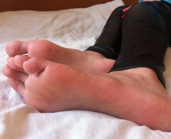 ��ֺ���� 17P  CZZJY-X206
