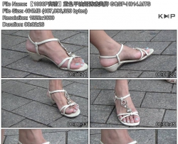 ��1080P���塿��ɫ���ͳ��ջ����� GQSP-H014