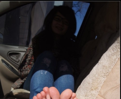 ���˹�˾С��������� ��һ�� 50P CZZJY-M137