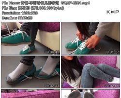 ��ͭ-��ѩ���ü���ζ��  GQSP-E261
