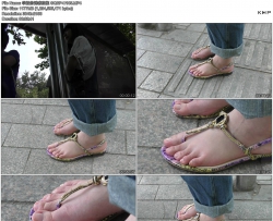 ѧ�õ��ջ����� GQSP-H105