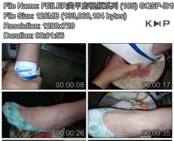 FEILER���׵���Ƶϵ�� (105) GQSP-I018