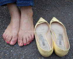 ��λ�������㶼Ϳ��ָ���� ��36P�� CZZJY-U114