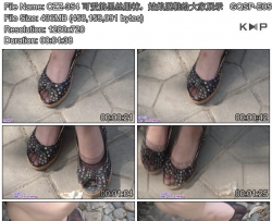 CZZ-354 �ɰ��ĺ�˿���࣬������Ь�����չʾ   GQSP-E054