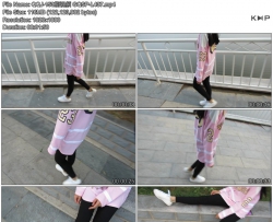 QQJ-153����Ƶ GQSP-L437