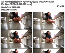 ������Ƶ2017��11��ϵ�� (87)  GQSP-F091