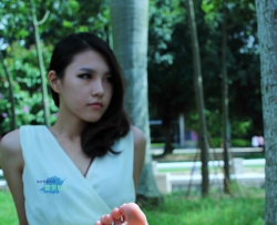 �����õ����� [21P]_  CZZJY-X149
