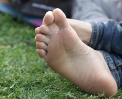 ������۲���˫�ٸ������ϸ�ڣ�41P��
