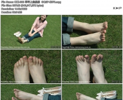 CZZ-388 ��ƺ�ϵļμ�  GQSP-E070