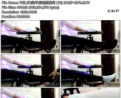 FEILER���׵���Ƶϵ�� (16) GQSP-I078