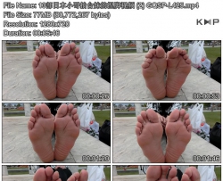 13���ձ�С����̨�õ������Ƶ (2) GQSP-L425