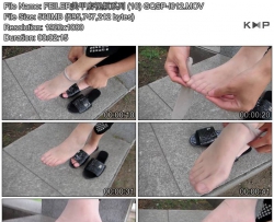 FEILER���׵���Ƶϵ�� (10) GQSP-I012