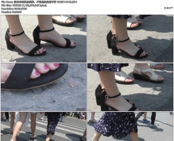 ���׾��ļ�Ʒ���ţ���˵�Ǽ�Ʒ������ GQSP-H146