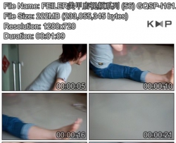 FEILER���׵���Ƶϵ�� (56) GQSP-I161